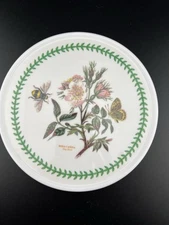 Portmeirion Botanic Garden Dog Rose Trivet Hot Pad Melamine  6.5” England