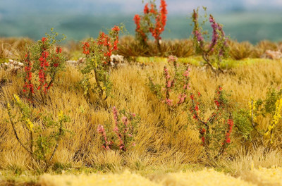 Faller 181252 Trees/Shrubs - Wild Vegetation (Pieces 48 - Height 25 Mm)