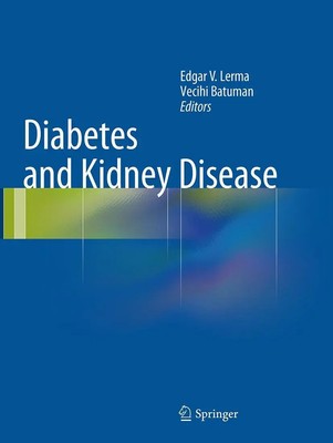 Vecihi Batuman (u. a.) | Diabetes and Kidney Disease | Taschenbuch | Englisch