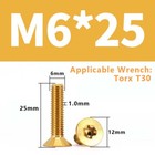 Bild 52 von 99
