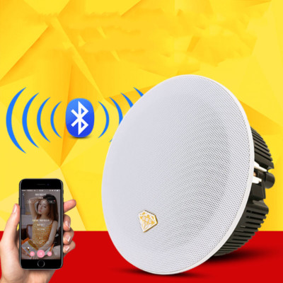 In-Ceiling Speaker sound w/Built-in 10m 