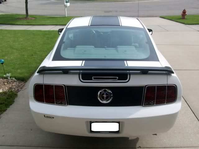 20" Racing stripe stripes Decals fit ANY Ford Mustang Saleen GT cobra 5.0