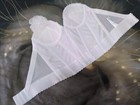 Bild 6 von 7