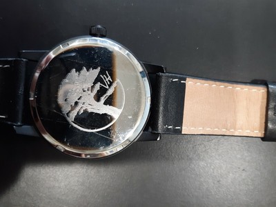 VH Watch eBay