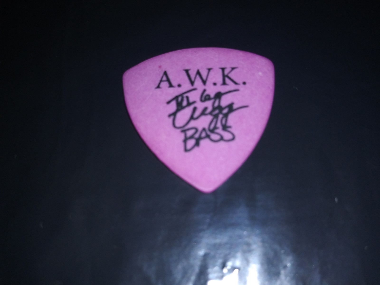 ANDREW W.K. AWK Gregg Signature Old Concert Tour RaRe Bass GUITAR PICK