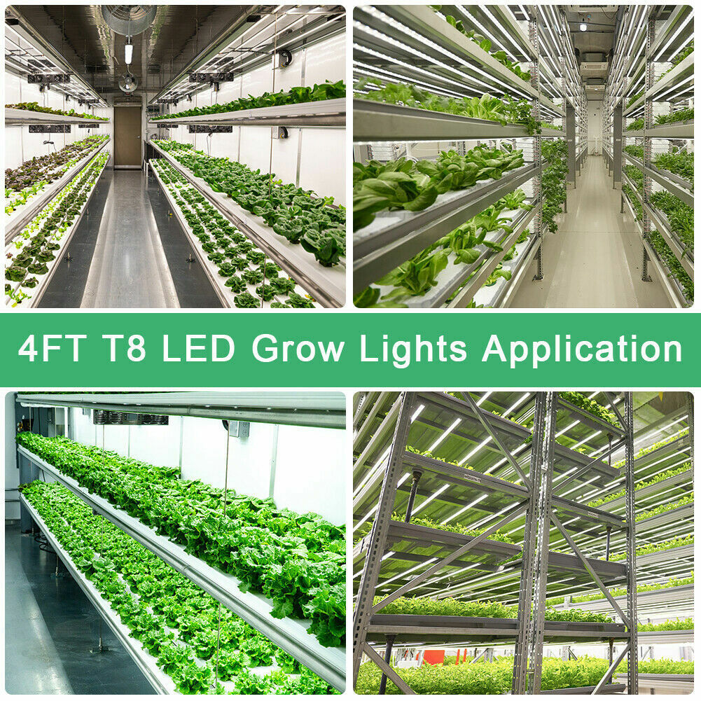 2FT 4FT T8 LED Plant Grow Lamp Full Spectrum 20W 40W Indoor LED Plant ...