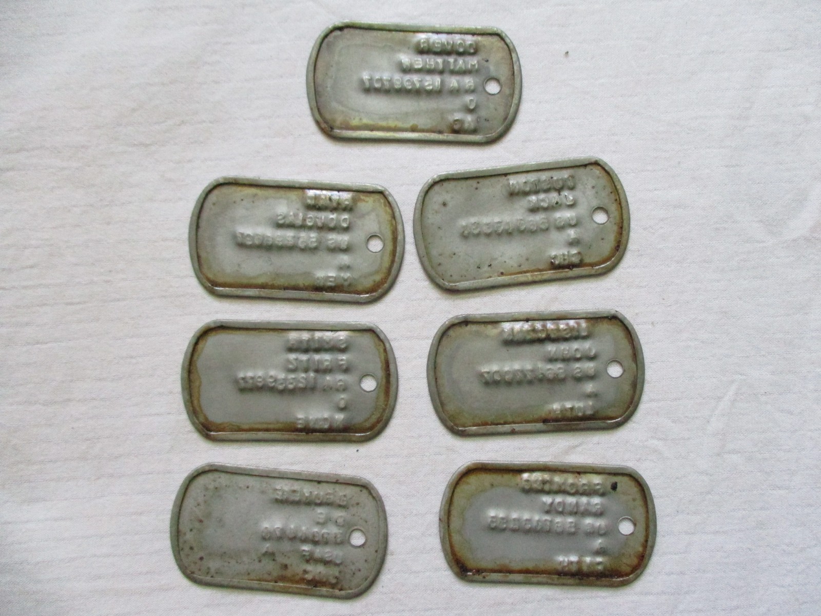 How Do Dog Tags Work