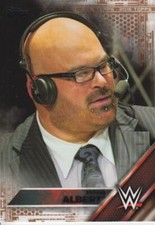 Jason Albert 2016 Topps WWE Bronze Parallel Card #22