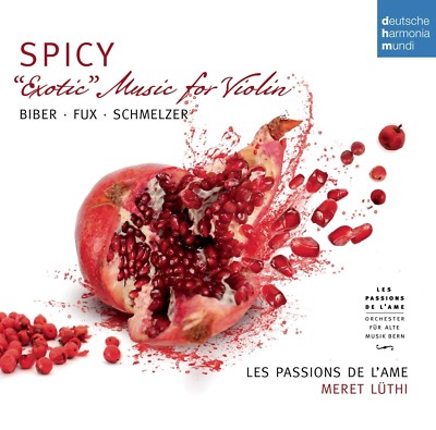 LES PASSIONS DE L'AME-SPICY-EXOTIC MUSIC FOR VIOLIN BY BIBER,SCHMELZER  CD NEW!