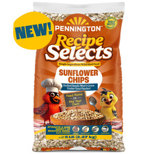 Recipe Selects Sunflower Chips, Dry Wild Bird Food and Seed, 5 Lb. B