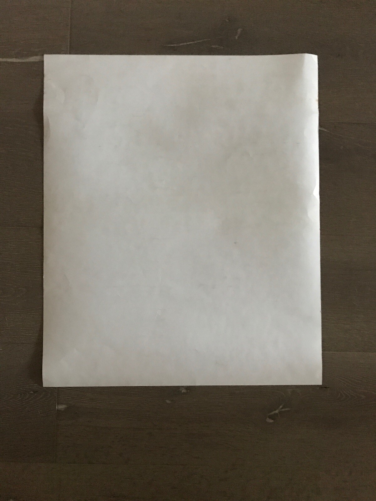 Foto 5 di 5
