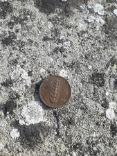 moneta Italia 5 centesimi SPIGA 1929 Impero Vittorio Em III Re d'Italia