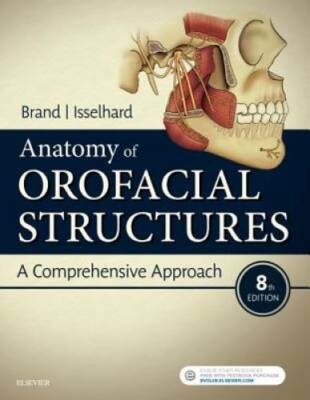 Anatomy of Orofacial Structures: A Comprehensive Approach, 8e - Paperback - GOOD