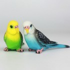 Bild 4 von 12