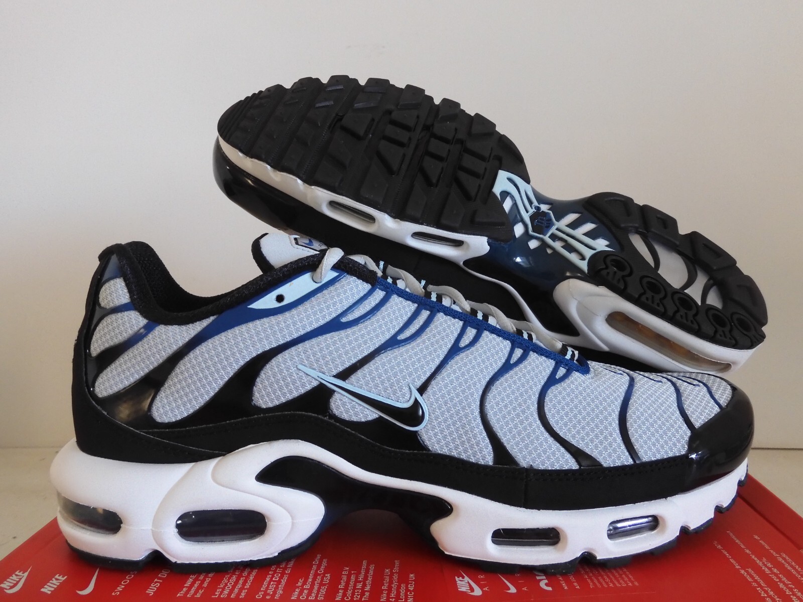 Size 12 - Nike Air Max Plus Pure Platinum Court Blue