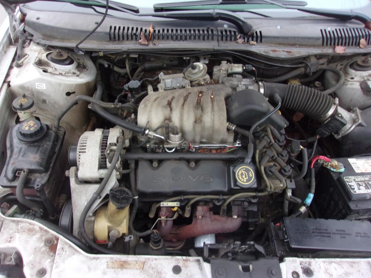 Picture 1 of 11