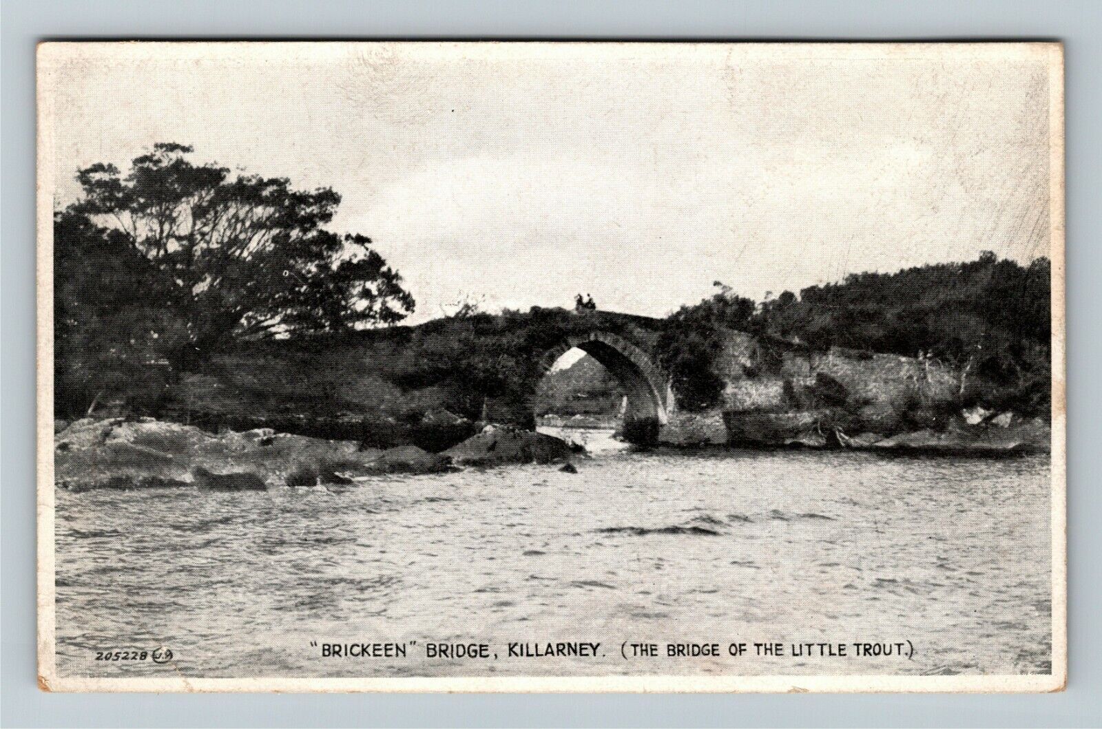 Killarney Ireland, BRICKEEN BRIDGE, BRIDGE LITTLE TROUT, Vintage Postcard