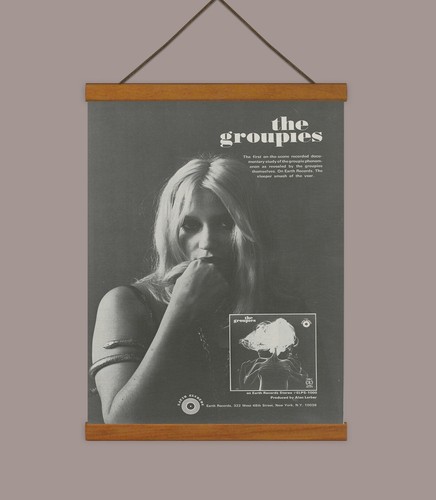 Seltene Groupies Promo / ORIGINAL Anzeige, montiert mit Magnetrahmen! - Bild 2 von 3