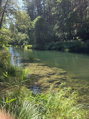 Gold Claim 18.5 Acres Camping mining Prospecting Creek hunting nuggets Trinity
