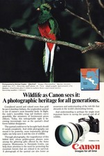 1985 Canon Camera: Wildlife Quetzal Vintage Print Ad