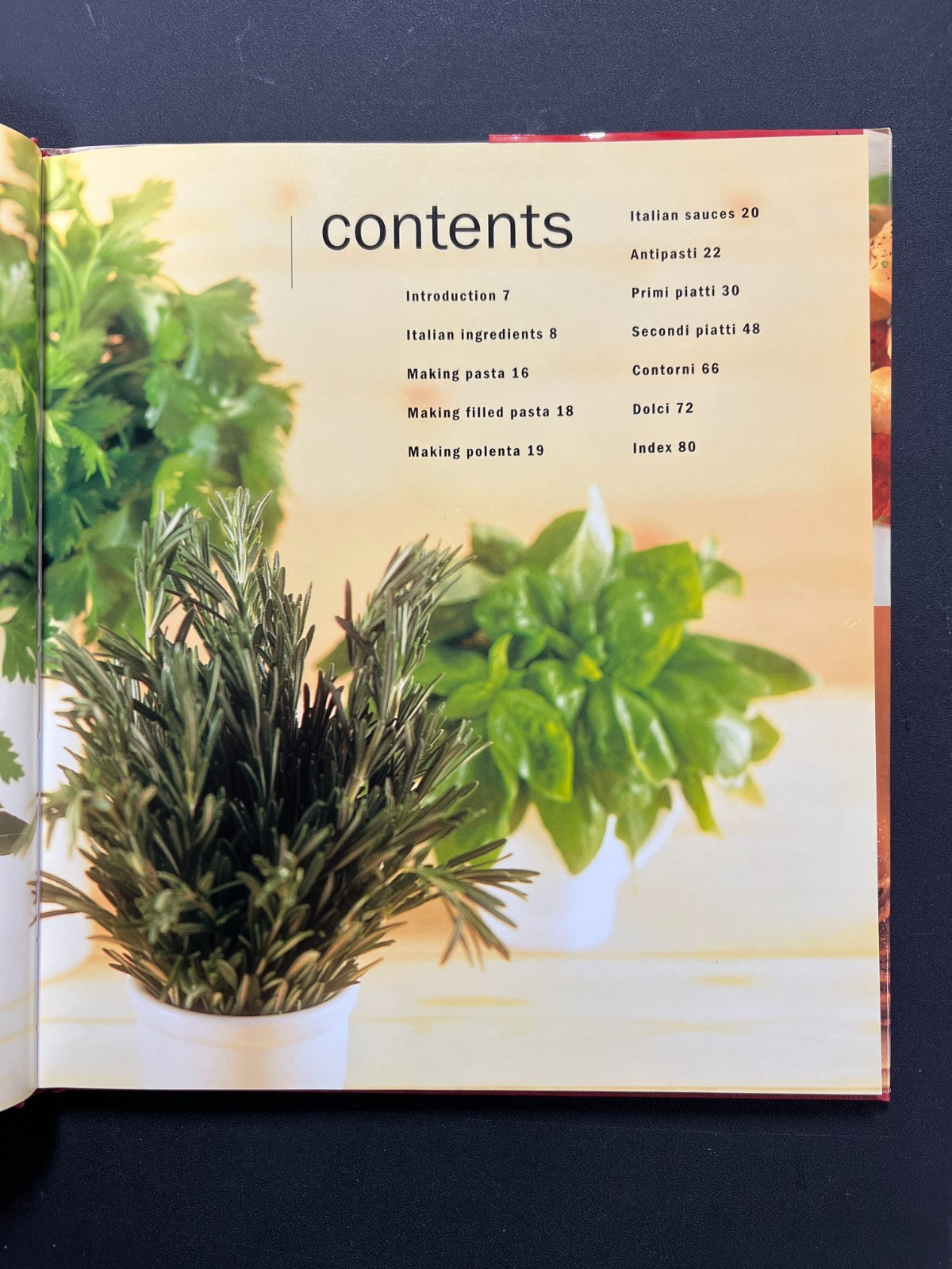 Sicily Souvenir Sicilia Apron,Mitt, Pot Holder & 4  VTG  Italian Cook Books