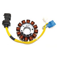 Stator Magnet Piaggio Beverly RST 125 2005 2006 2007