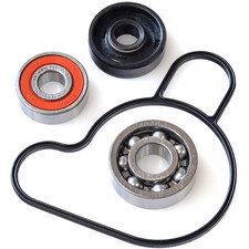 39903 - compatible con KTM 50 SX PRO JUNIOR LC 50 2009 Kit reparación bomba de a