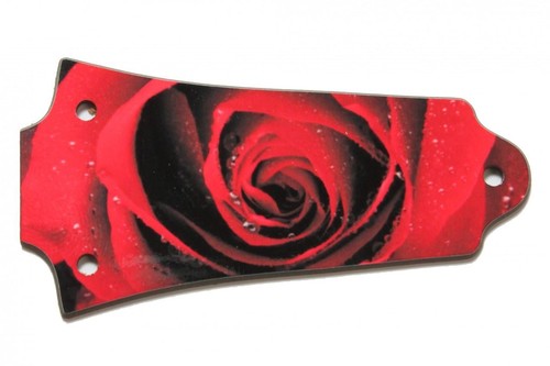 Custom Personalized Truss Rod Cover w/ picture/logo for Older Epiphone® Les Paul - Picture 2 of 4