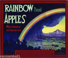 Washington State Rainbow Apple Fruit Crate Label Art Print