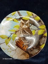 Coalport Decorative Wall Plates Scops Owl Pattern