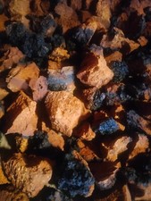 chaga mushroom chunks