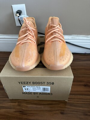 Size 12.5 - adidas Yeezy Boost 350 V2 Mono Clay - GW2870