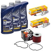 ÖL Set 3L Inspektion FüR Suzuki GR 650 GP51A GR650 1983-1989 ÖLfilter ZüNdkerzen