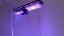 Refugium light CHAETO C3L Mini Refug LED Light  For Small Tanks