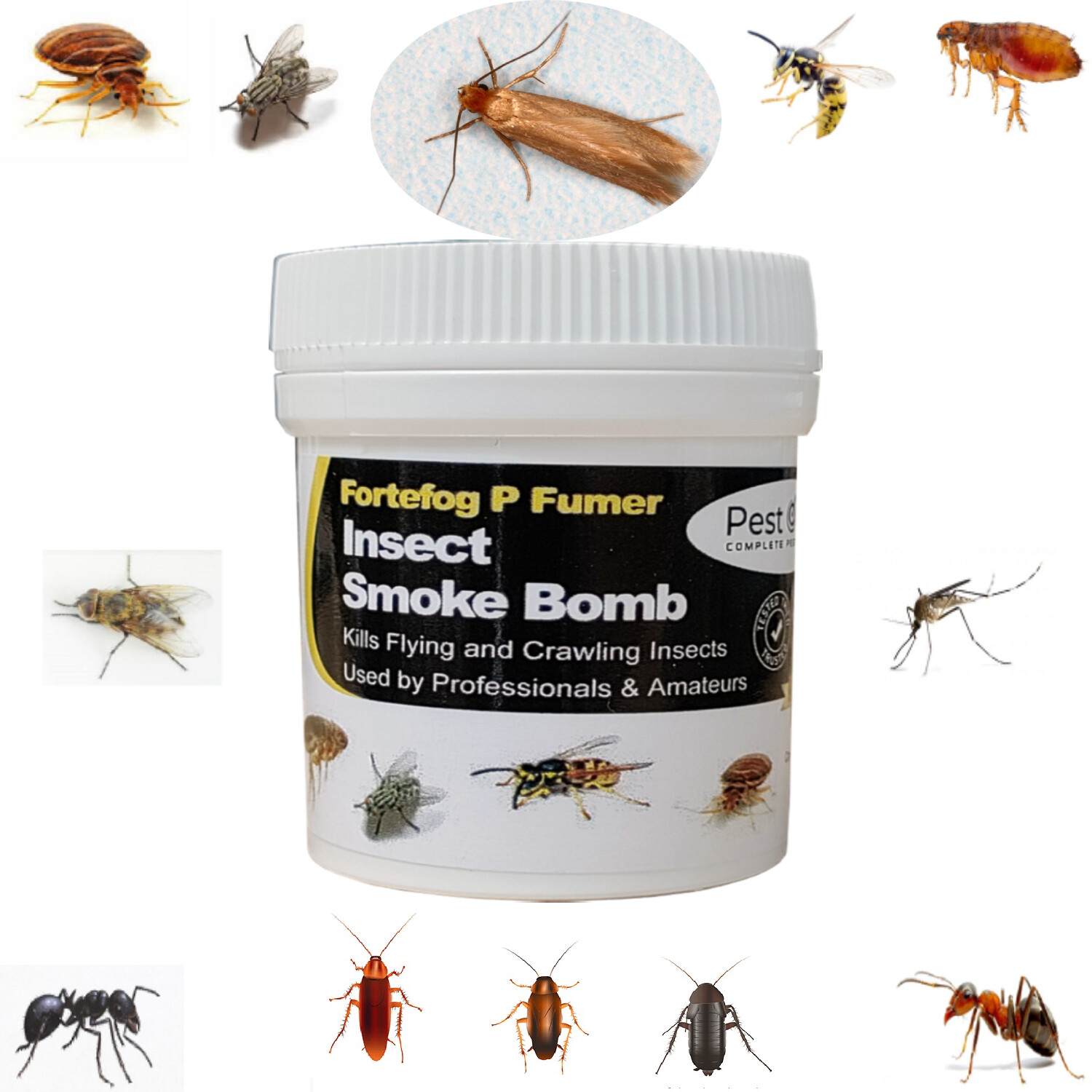 Cluster Fly Wasp Insect Killer Pro Smoke Fumer Fogger Pest Smoker Bomb