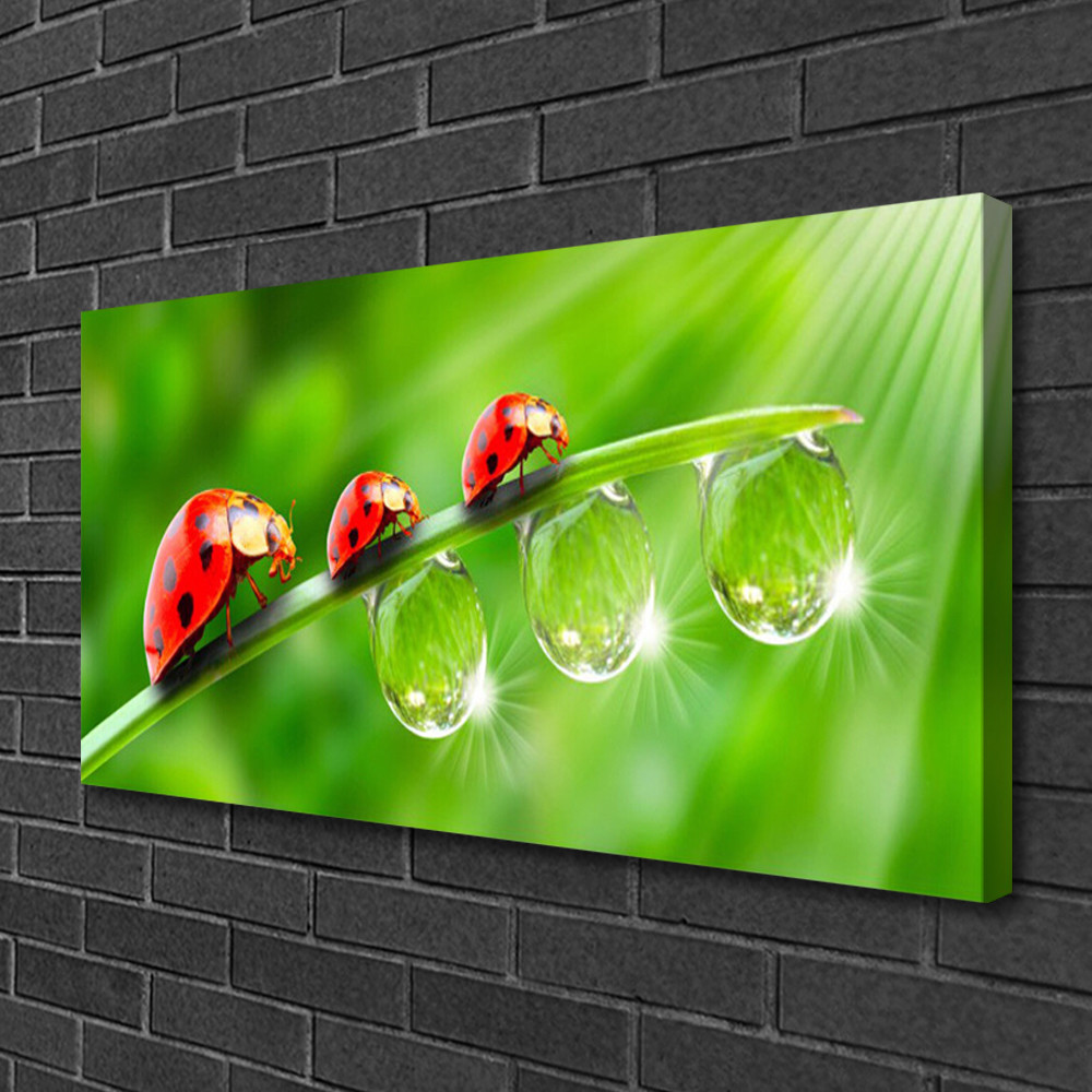 Impression sur toile floral avec rosée matin pour créer une ambiance zen de chambre