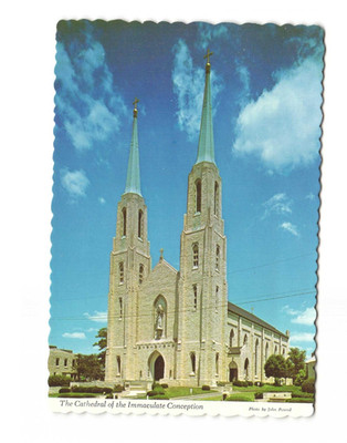 The Cathedral of the Immaculate Conception Fort Wayne IN VTG postcard UNP