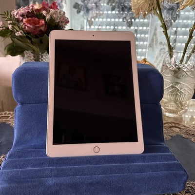 Apple iPad (5. Generation)   128 GB   Silber/Weiß   Sehr guter Zustand