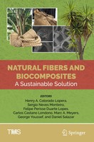 Henry A. Colorado Lopera (U. A.) | Natural Fibers And Biocomposites | Buch | Xvi