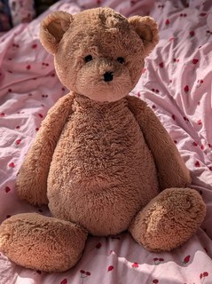 Jellycat riesiger Bashful Honigbär Stofftier Plüschtier
