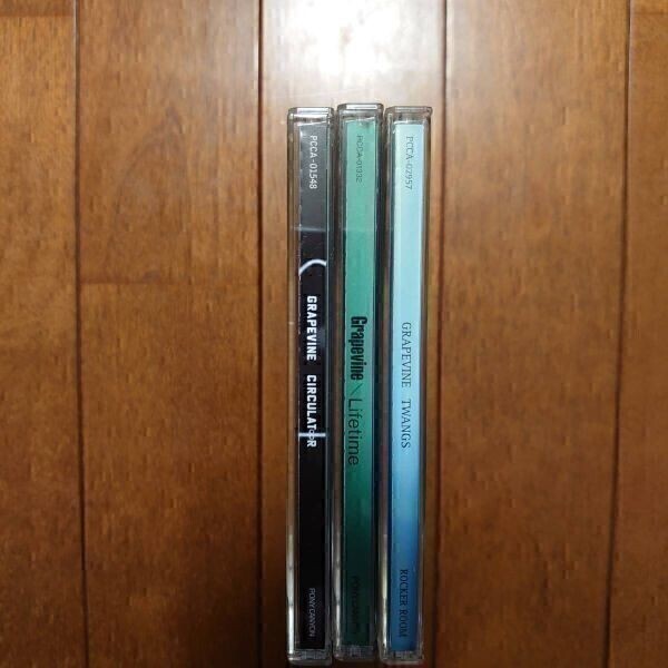 GRAPEVINE / IN A LIFETIME　BD+CD s-l400.jpg