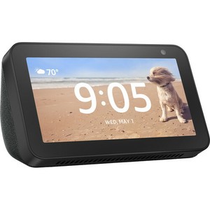 amazon echo show ebay