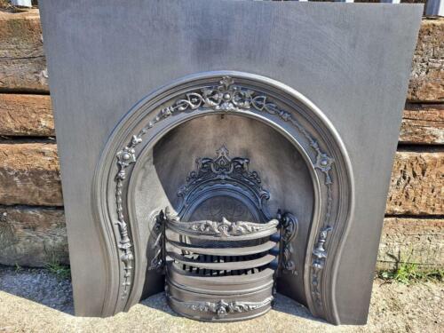 cast iron horseshoe insert fireplace