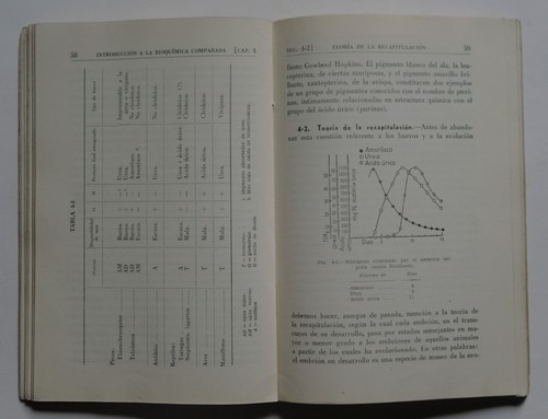 R13/0368 INTRODUCCION A LA BIOQUIMICA COMPARADA von Ernest Baldwin 1953 - Picture 6 of 6