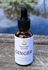 Ginger Tincture, Extract, Digestive Aid, Circulation, Gingerols, Motion Sickness