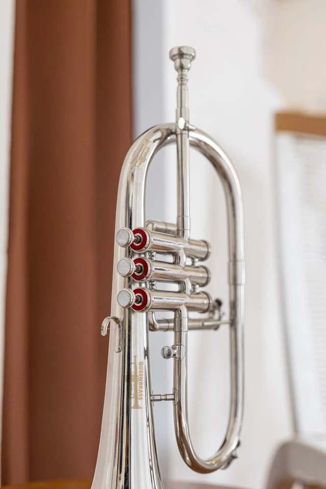 INCREÍBLE OFERTA CUERNO FLUGEL 3 Válvulas Bb Níquel Con Estuche Rígido Boquilla Plateada.-./ Foto 4 de 4