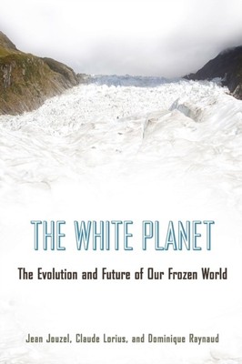 The White Planet von Dominique Raynaud 9780691173474 NEU Taschenbuch