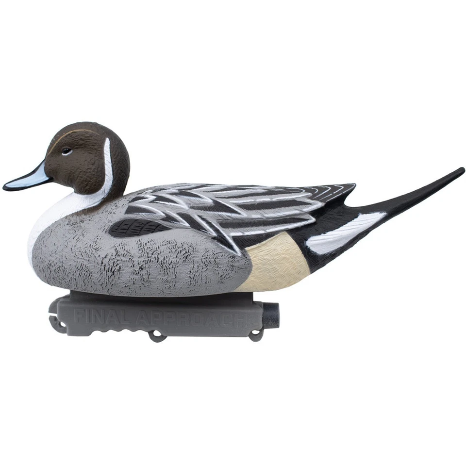 Floating Pintail Duck Decoys - 12 Pack - Image 4 of 4