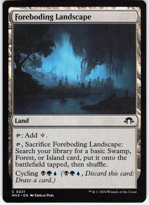 Foreboding Landscape C Modern Horizons 3 221 LP