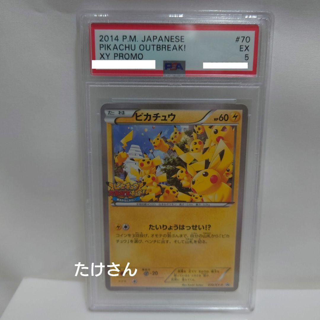 Foto 1 di 8